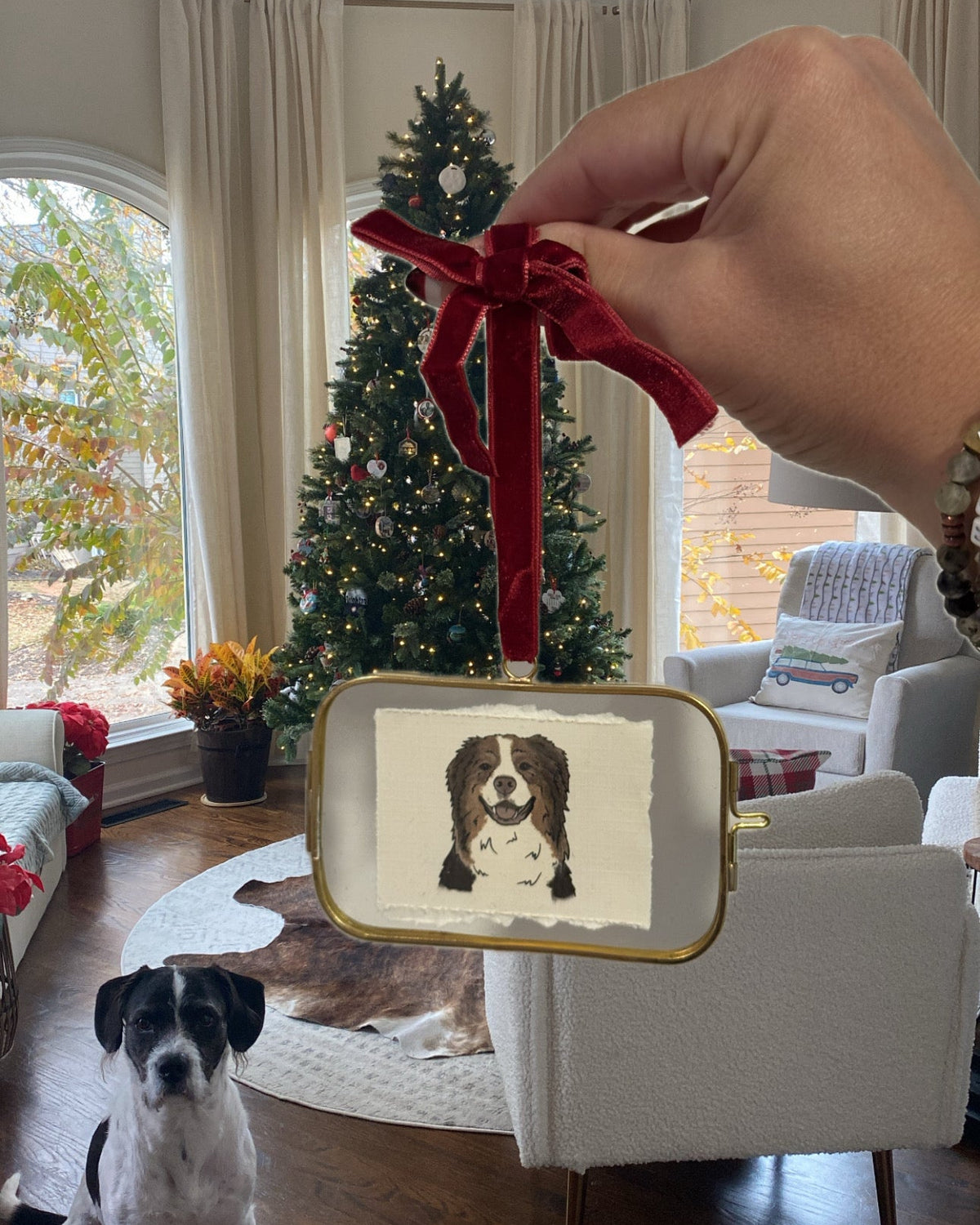 A hand holds a rectangular Christmas ornament with a red ribbon loop and gold trim, featuring a printed portrait of a black-and-white dog. A real dog sits on a wooden floor in a living room with a Christmas tree, chairs, and windows in the background.