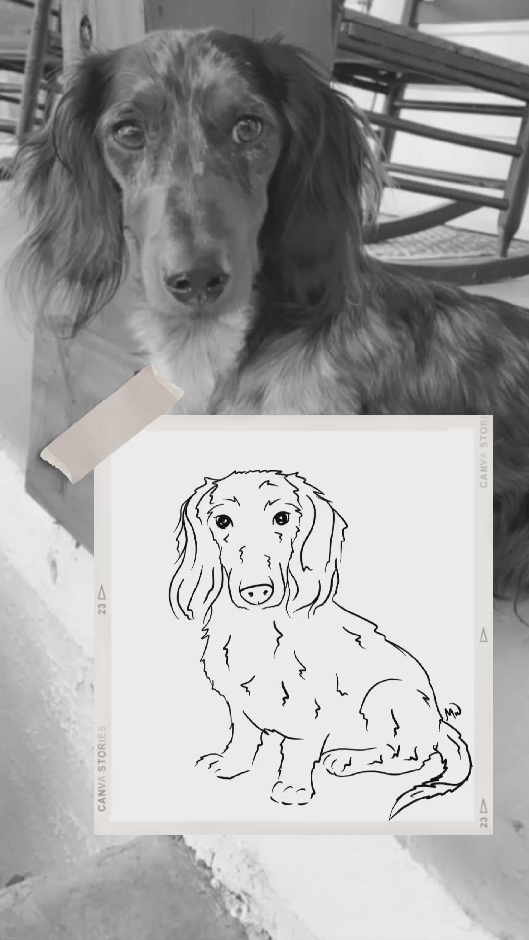 Custom-Pet-Portrait-From-Photo